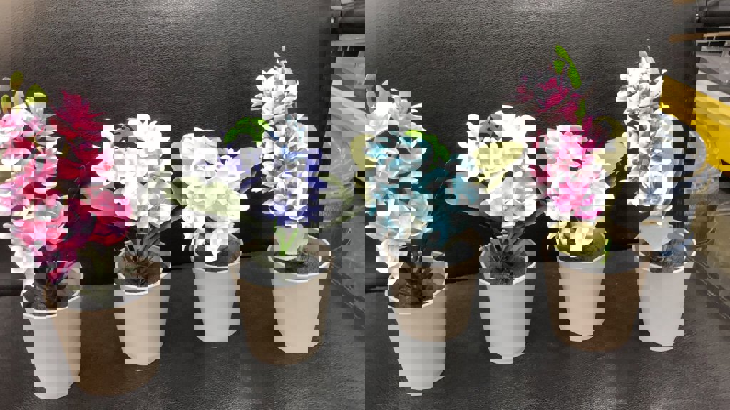 EVA MINI SAKSIDA ORKIDE *48