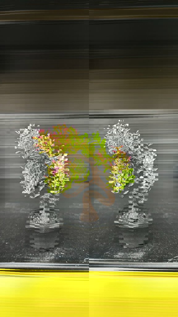 EVA RENKLI MINI AGAÇ *60