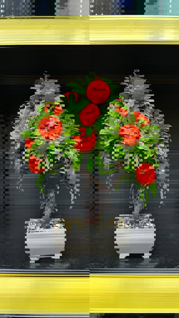 EVA PORTAKAL AGACI *27