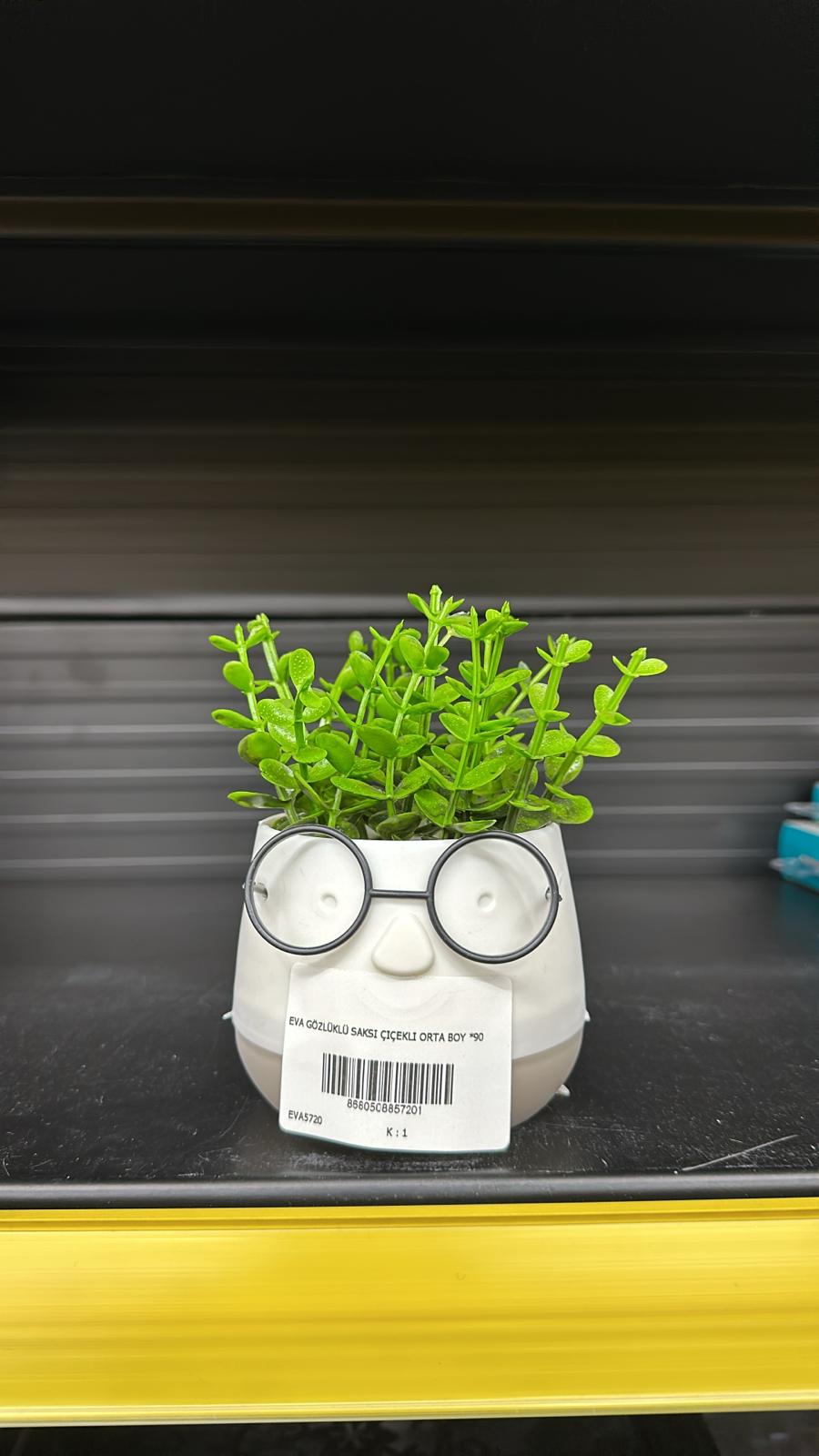 EVA GÖZLÜKLÜ SAKSI ÇIÇEKLI ORTA BOY *90