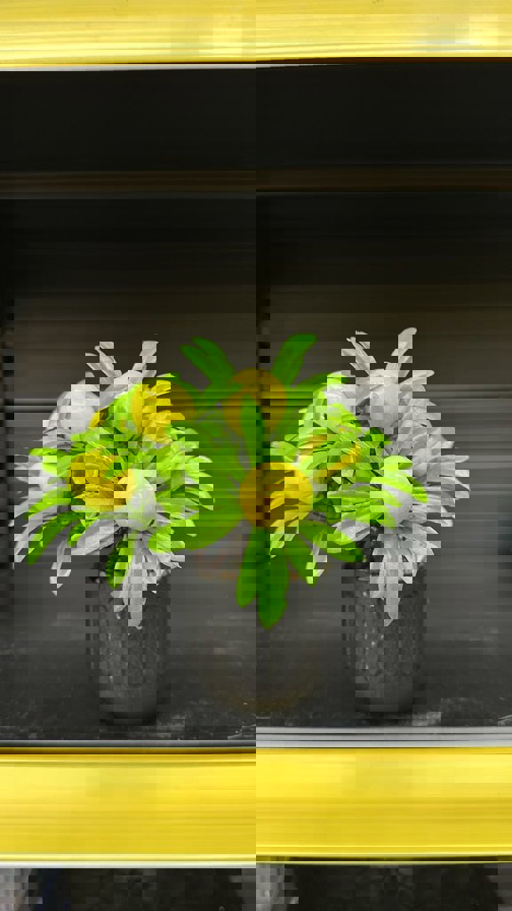 EVA MEYVELI KÜÇÜK AGAÇ *24