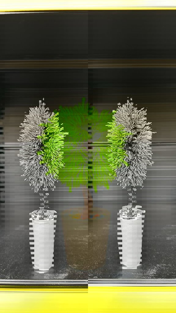 EVA TOP YILBASI AGACI *30*60