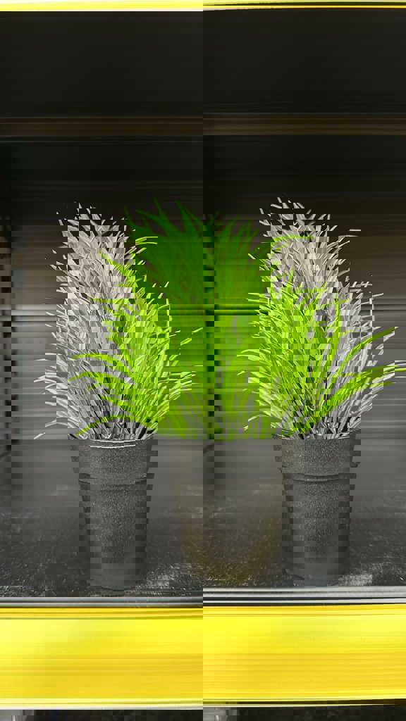 EVA YENI SAZLI ÇIÇEK *80