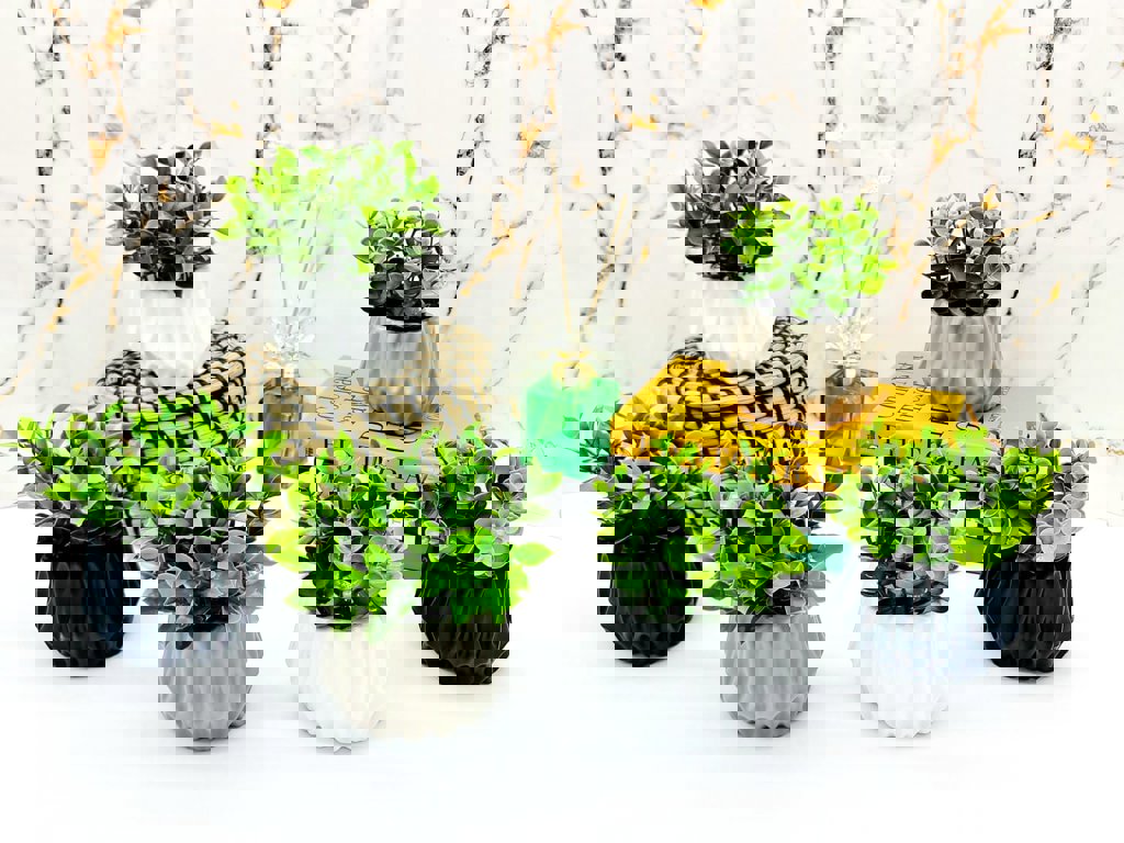 MOTIEV YAPRAKLI PRIZMA SAKSI *72