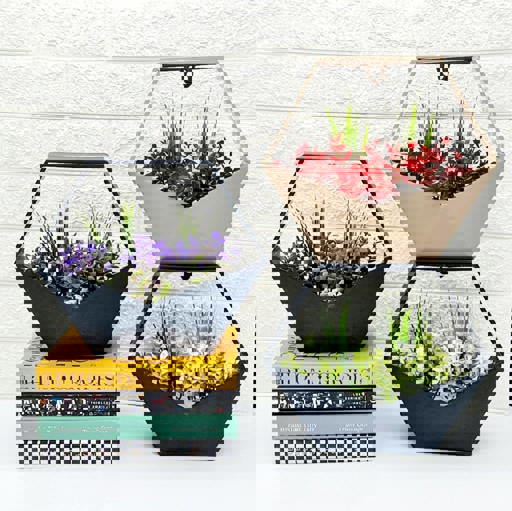 MOTIEV ARAJMANLI ALTIGEN RAF *36