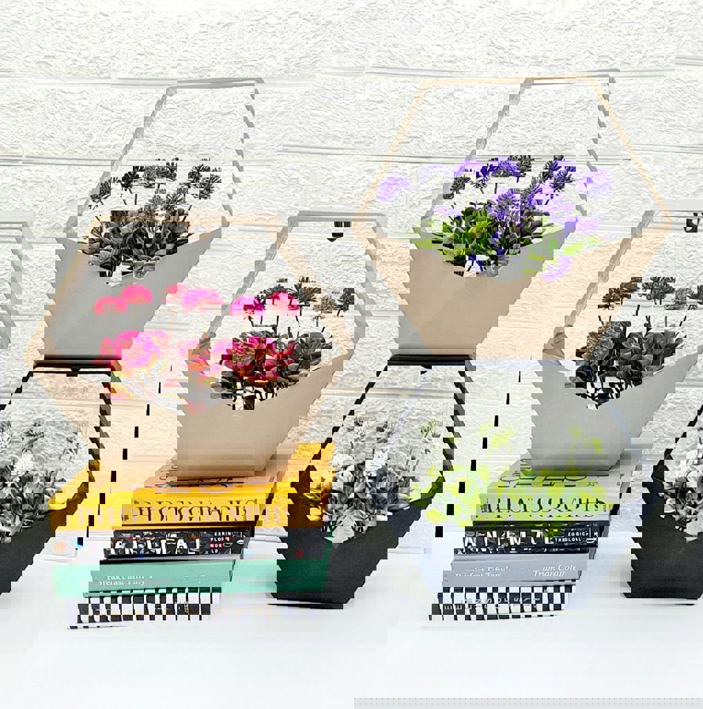 MOTIEV TOMURCUKLU ALTIGEN RAF *36