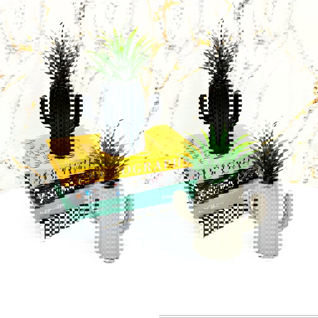 MOTIEV SUKULENTLI KAKTÜS SAKSI *72