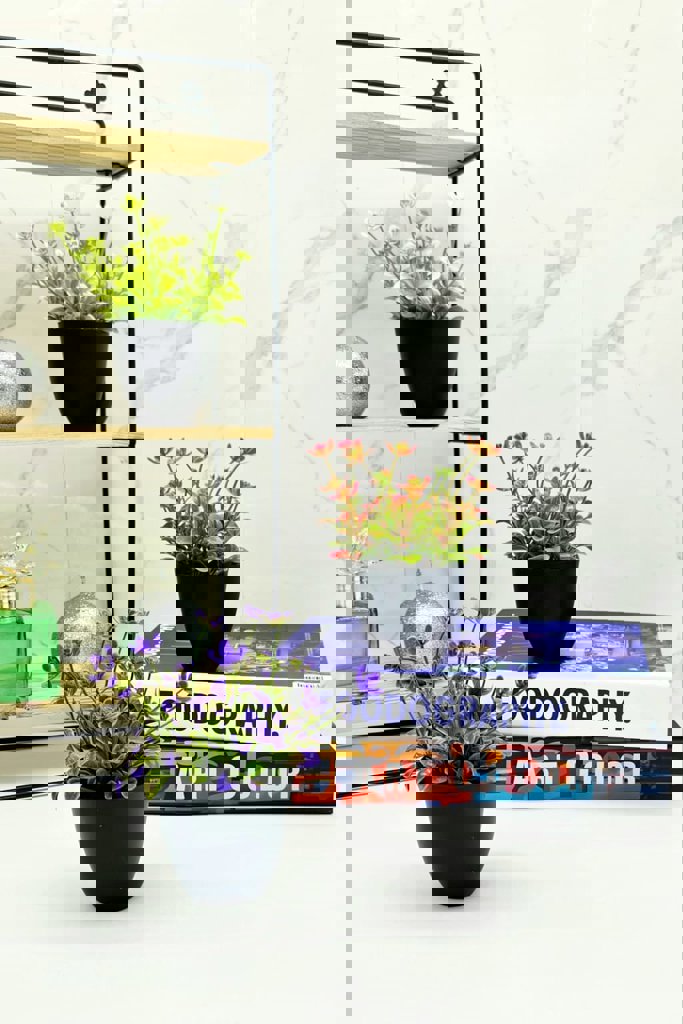 MOTIEV KIR ÇIÇEKLI SAKSI *72