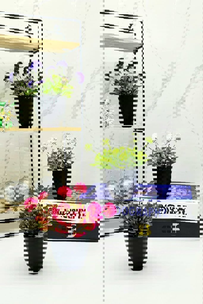 MOTIEV TOMURCUKLU SAKSI *72