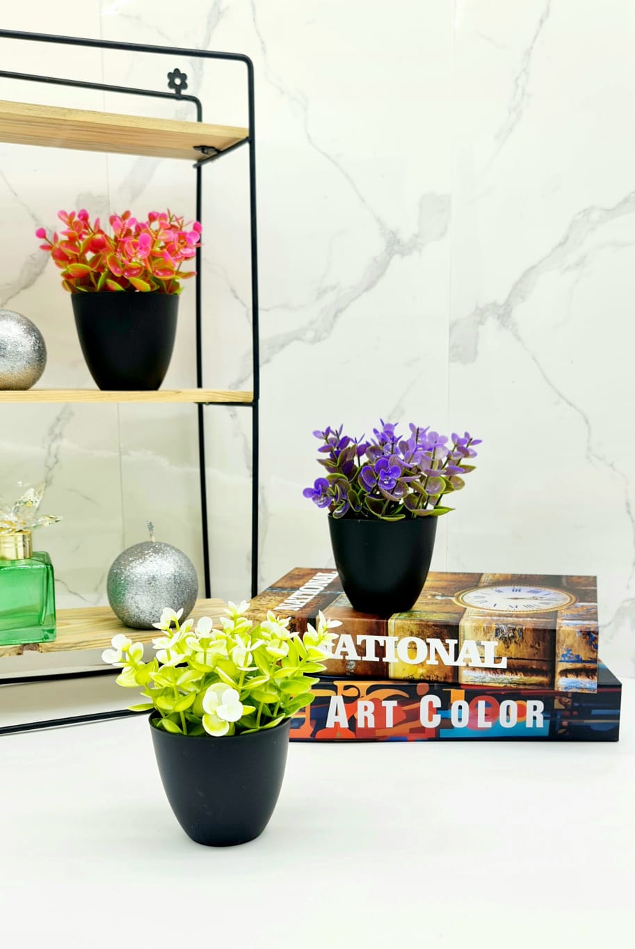 MOTIEV OKALIPTUSLU SAKSI *72