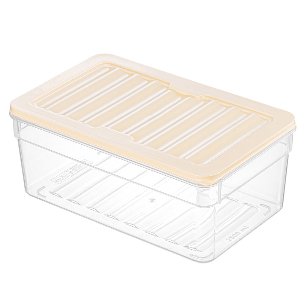 SOFT FRESH BOX DERIN 2500 ML *48